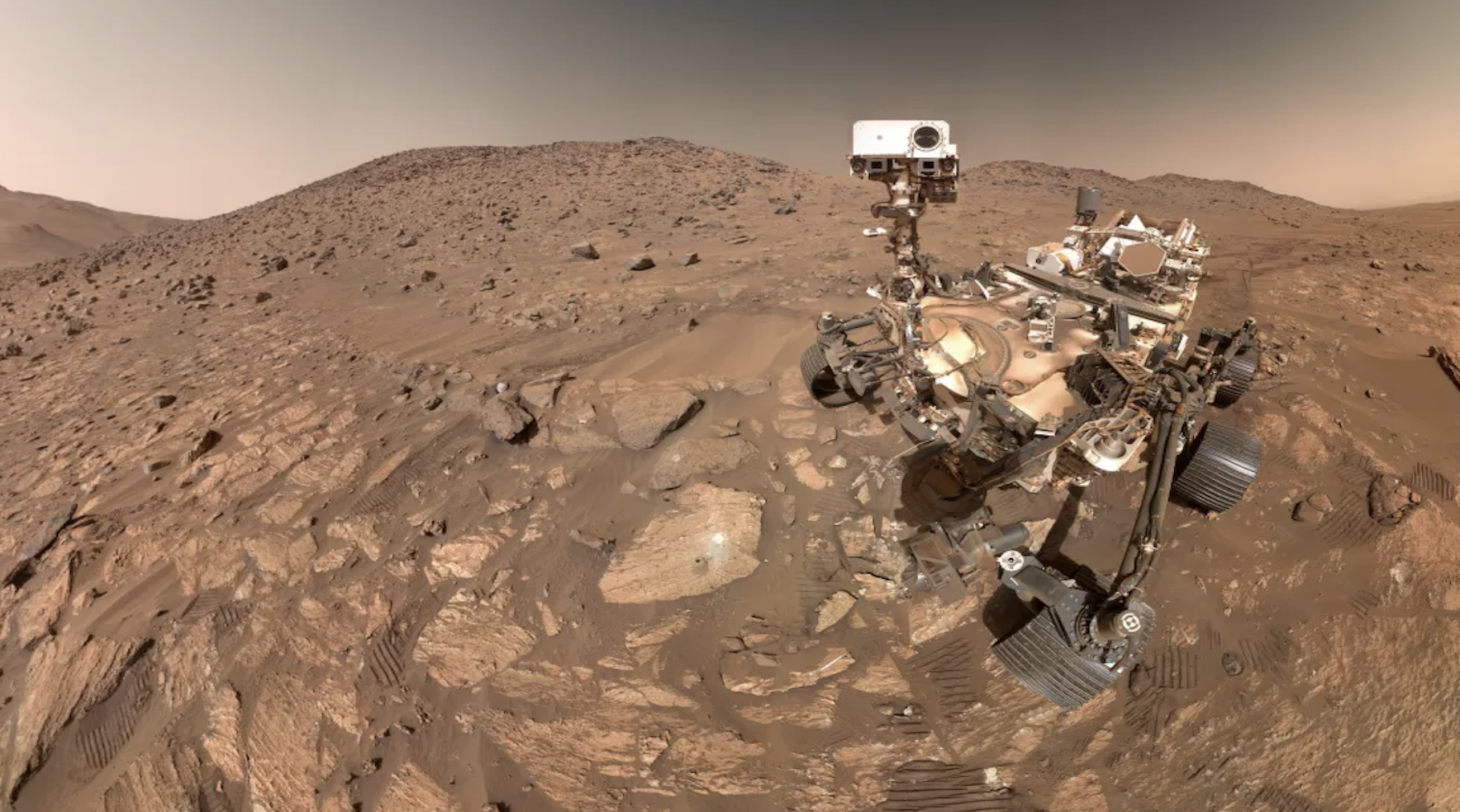 Daily Dive # 117 | Did the Perseverance Rover Just Find Evidence of Past Life on Mars?